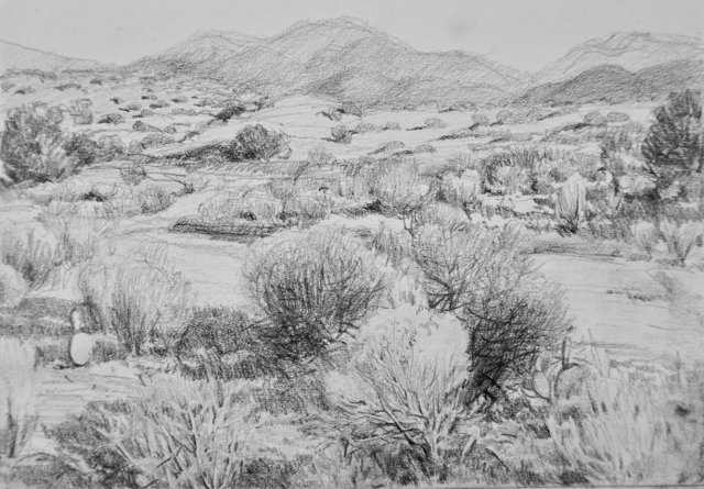 This drawing attempts to capture the character of the central New Mexico landscape.